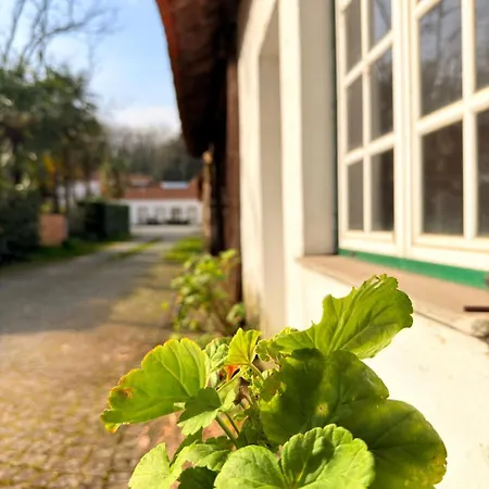 Vendégház Quinta De Marzovelos Viseu
