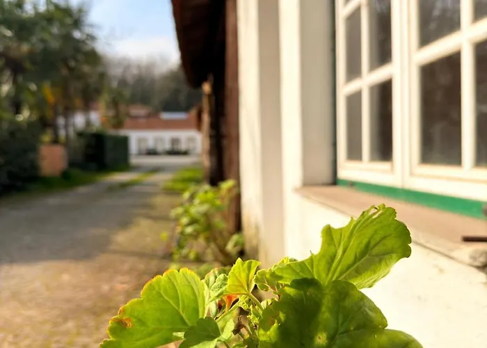Pensión Quinta De Marzovelos Viseu